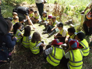 London Wildlife Trust will provide exciting and inspirational outdoor nature lessons for more than 5,000 urban school children during 2018.