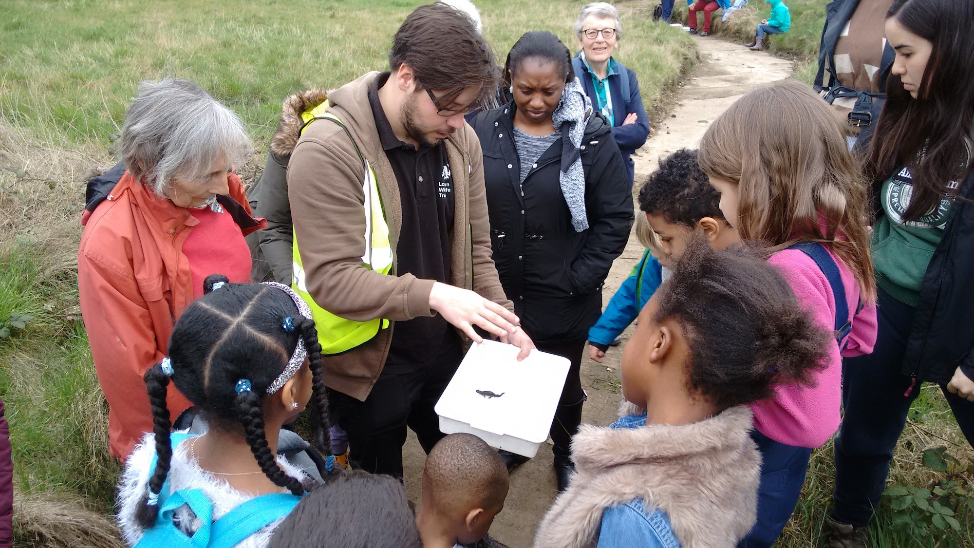London Wildlife Trust will provide free opportunities for tens of thousands of people across the capital to join in walks, events and family-friendly activities.